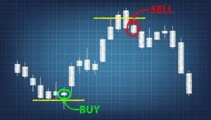 Metatrader 5: How to Make a Trading Prediction, FP Markets